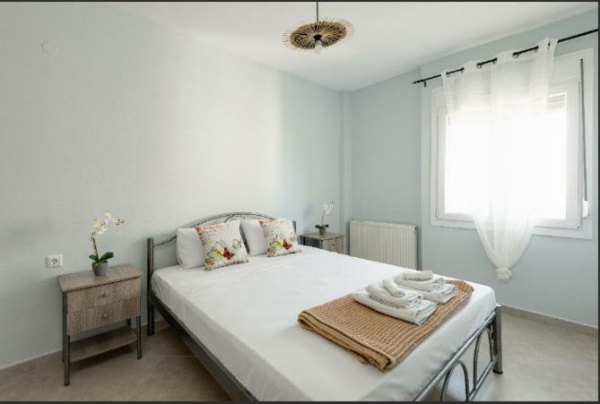 Bright Spacious Two-Bedroom Apartment Thessaloníki Ngoại thất bức ảnh